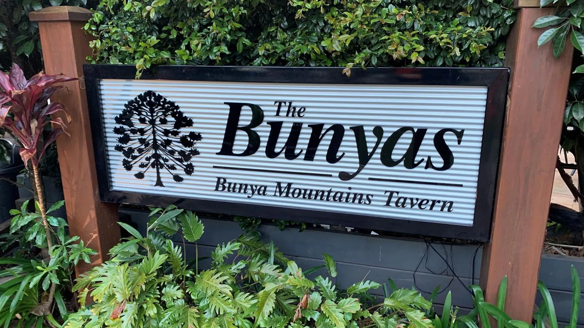 Bunya Mountains Tavern