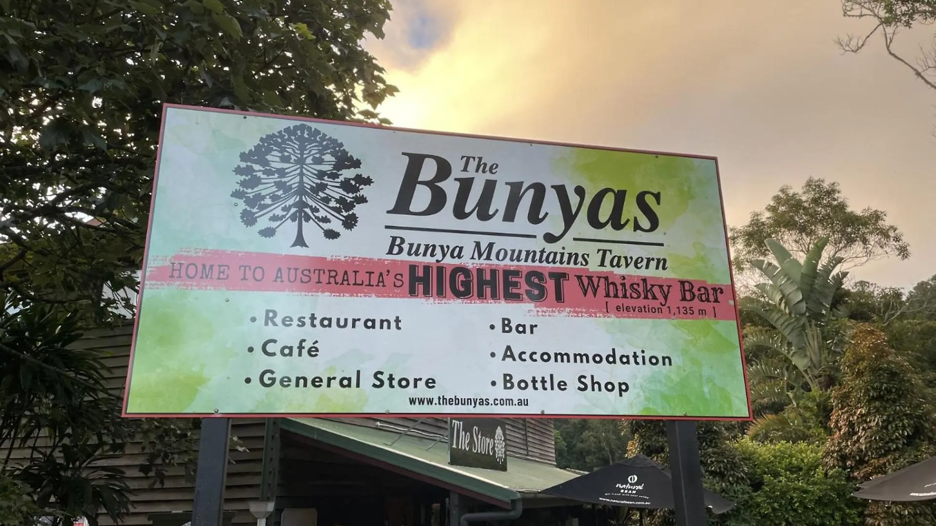 Bunya Mountains Tavern Bunya Mountains